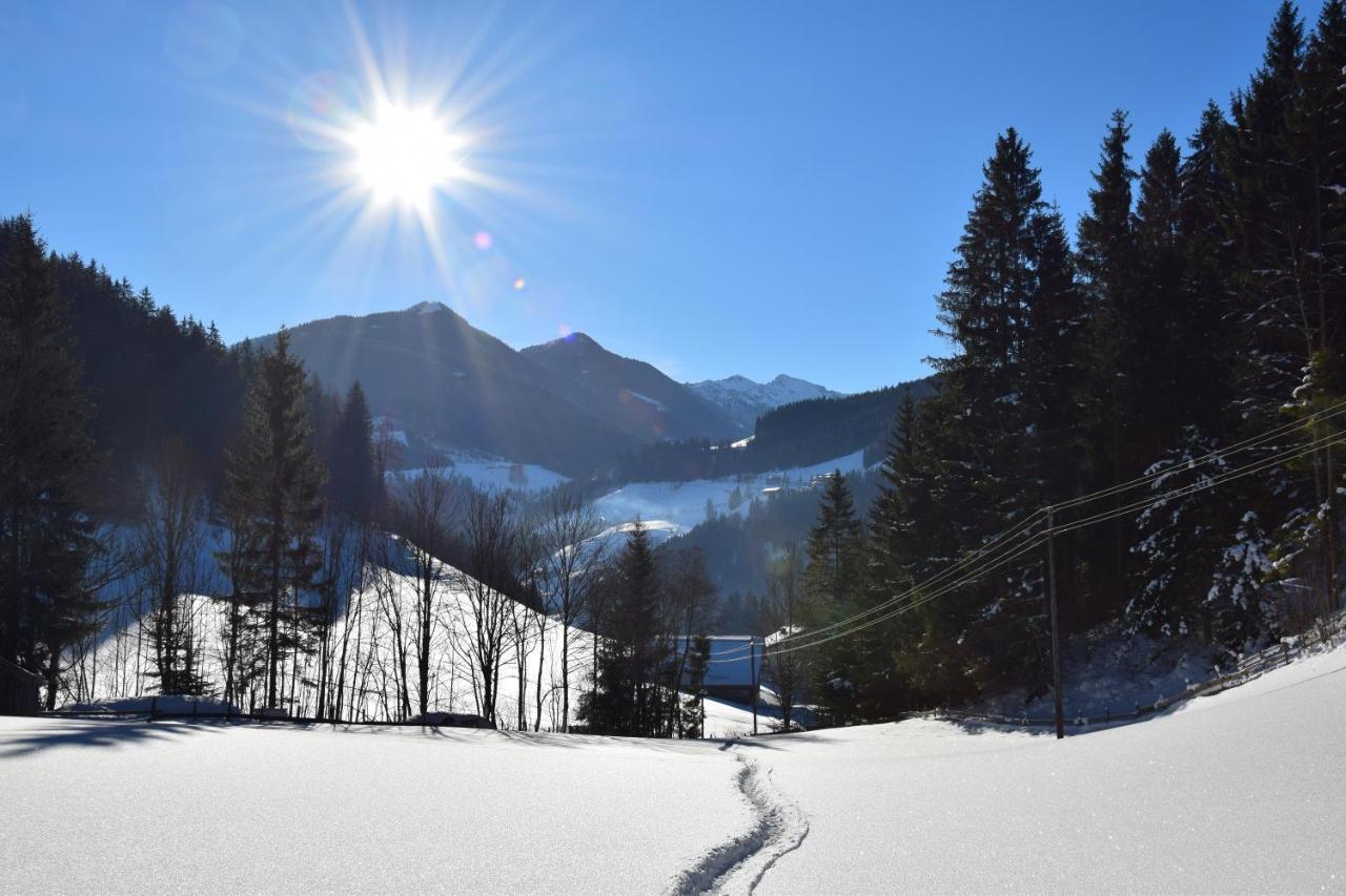 Apartment Obergruberhof Schladming Bagian luar foto