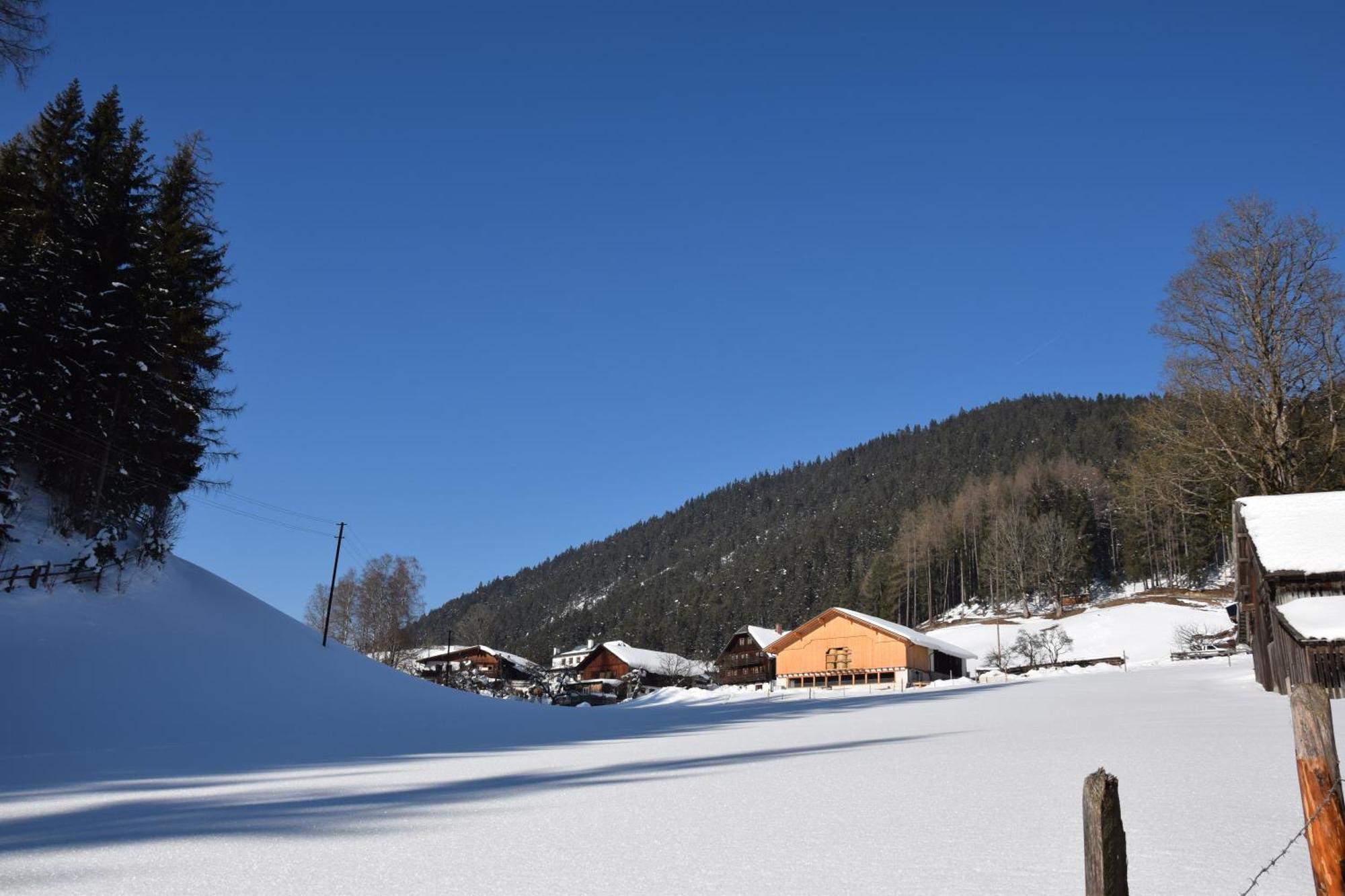 Apartment Obergruberhof Schladming Bagian luar foto