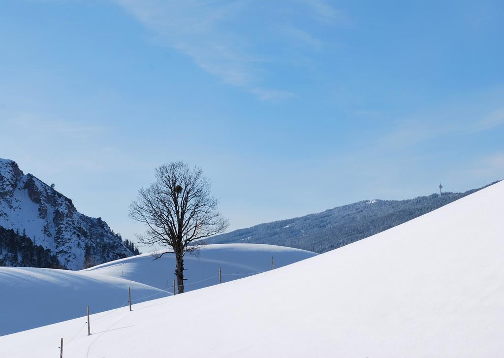 Apartment Obergruberhof Schladming Bagian luar foto