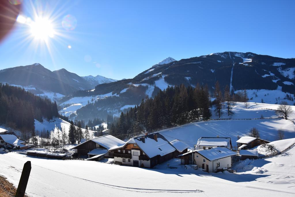 Apartment Obergruberhof Schladming Bagian luar foto